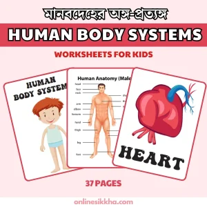 HUMAN BODY SYSTEMS for Kids