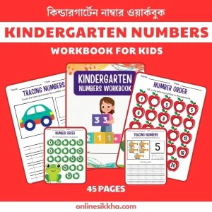 Kindergarten Numbers Workbook for Kids