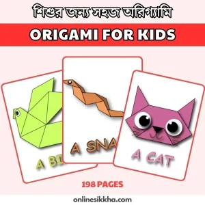 Origami for Preschool Kids