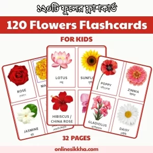 120 Bengali and English Flowers Flashcards