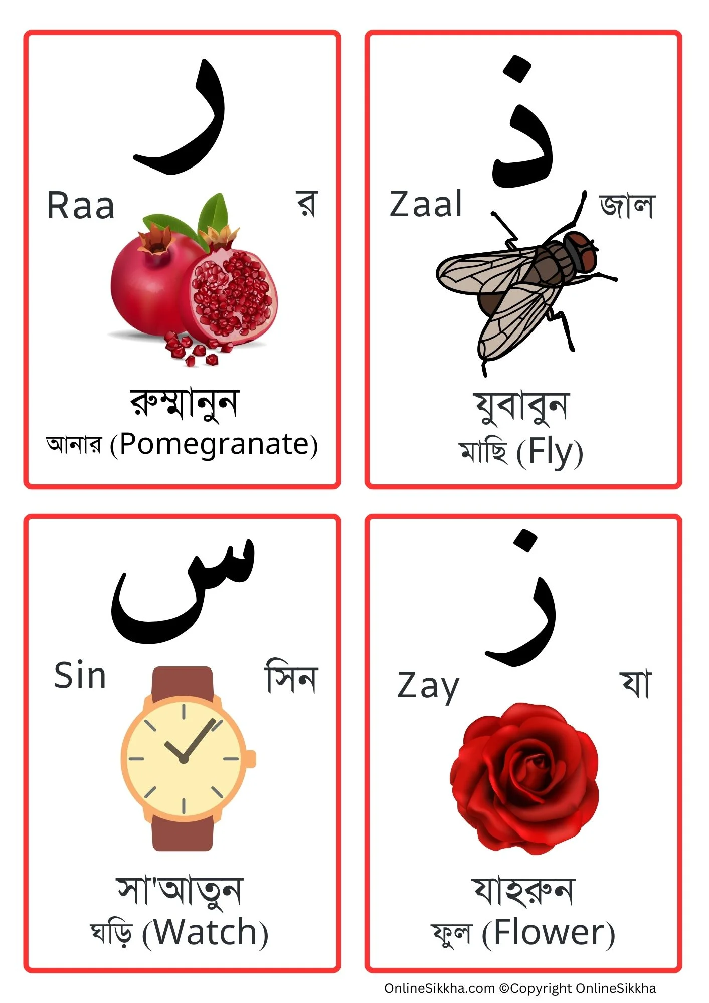 Arabic Alphabet Flashcards in Bengali and English