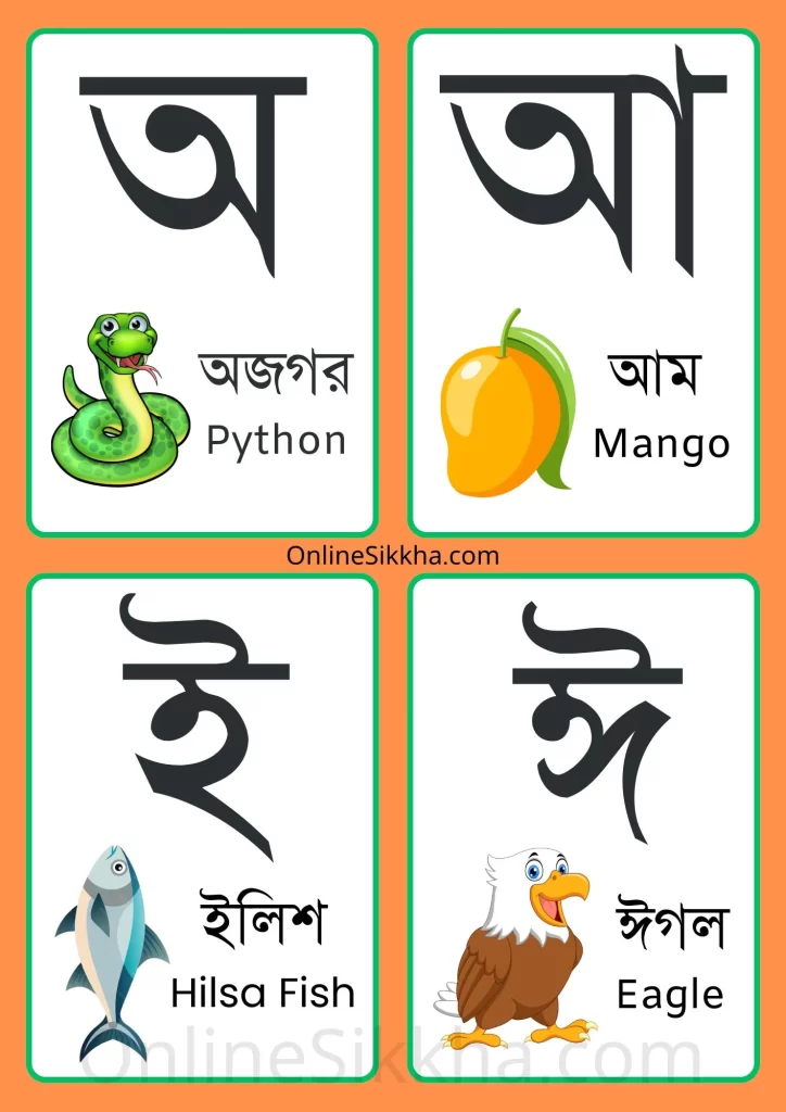 bengali sorborno flashcards